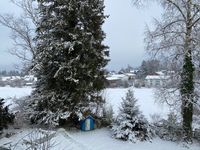 Garten im Winter